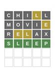 Wordle Sleep Notebook: A Fun...